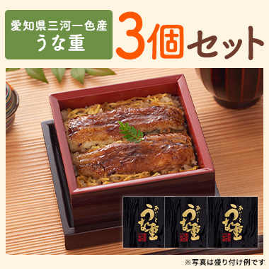 愛知県三河一色産 うな重3個セット
